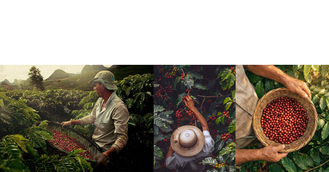 shop banner